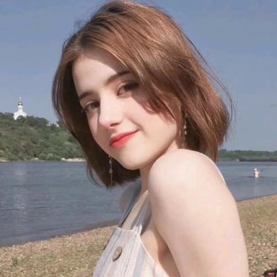 Lê Đình Tùng avatar